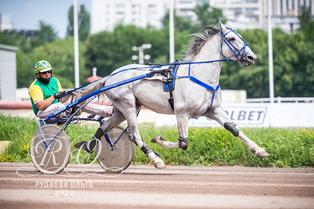 День на Центральном Московском Ипподроме. ТУРНИРНАЯ КОННАЯ ФОТОГРАФИЯ, Руднева Ольга и Евгений Адеев