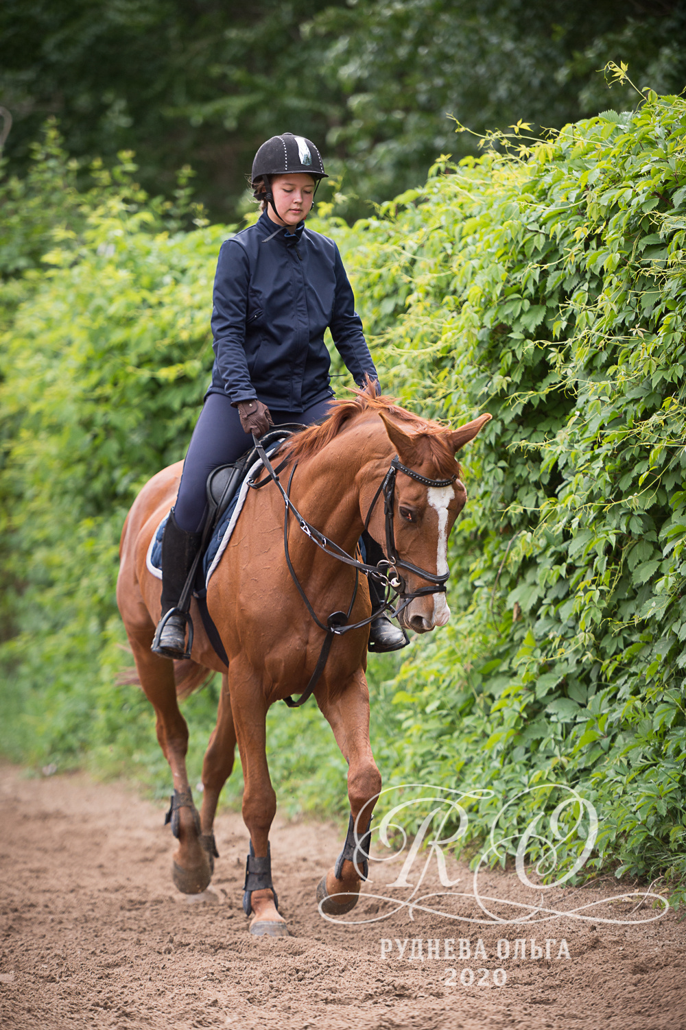 Тренировка в КСК Амадей. ТУРНИРНАЯ КОННАЯ ФОТОГРАФИЯ, Руднева Ольга и Евгений Адеев