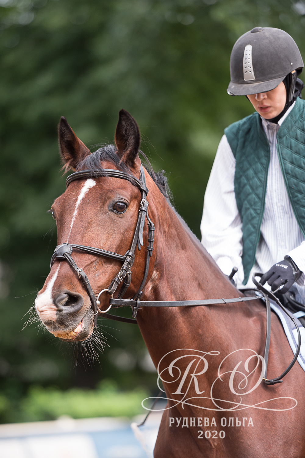 Тренировка в КСК Амадей. ТУРНИРНАЯ КОННАЯ ФОТОГРАФИЯ, Руднева Ольга и Евгений Адеев