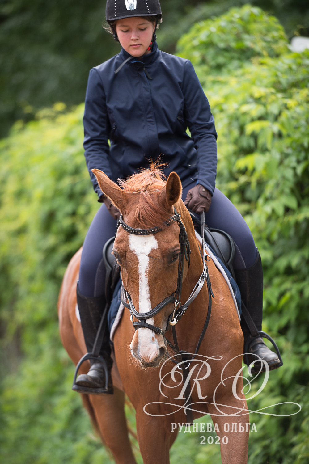 Тренировка в КСК Амадей. ТУРНИРНАЯ КОННАЯ ФОТОГРАФИЯ, Руднева Ольга и Евгений Адеев
