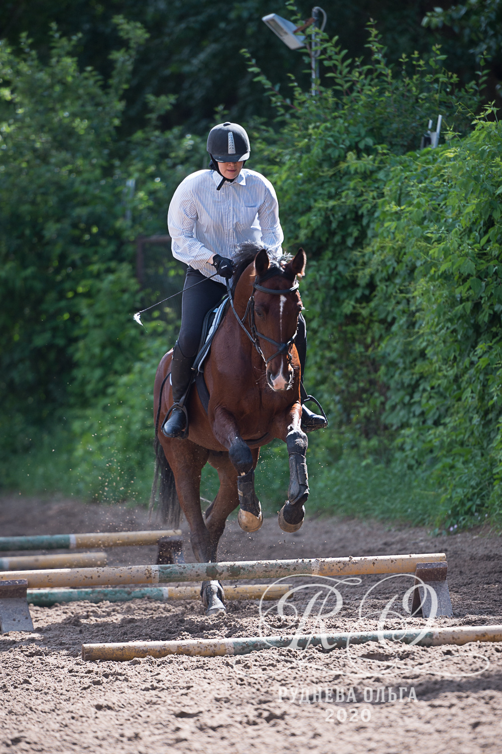 Тренировка в КСК Амадей. ТУРНИРНАЯ КОННАЯ ФОТОГРАФИЯ, Руднева Ольга и Евгений Адеев