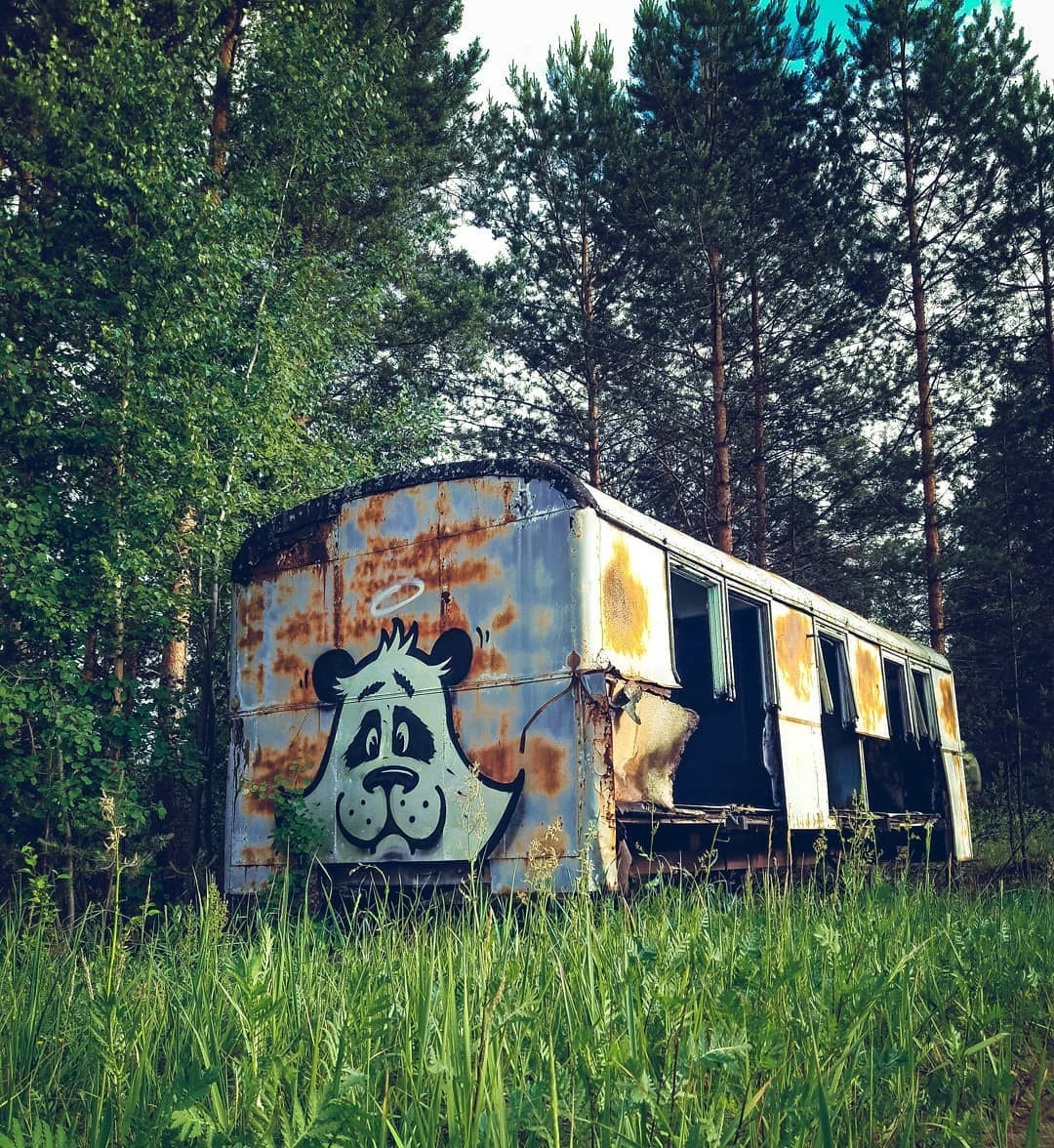 Graffiti. Alexander Stan Shimanov