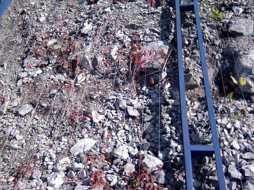 ВНИМАНИЕ! ФЕСТИВАЛЬ ЛАНДШАФТНОГО СТРОИТЕЛЬСТВА. 俄罗斯设计估算