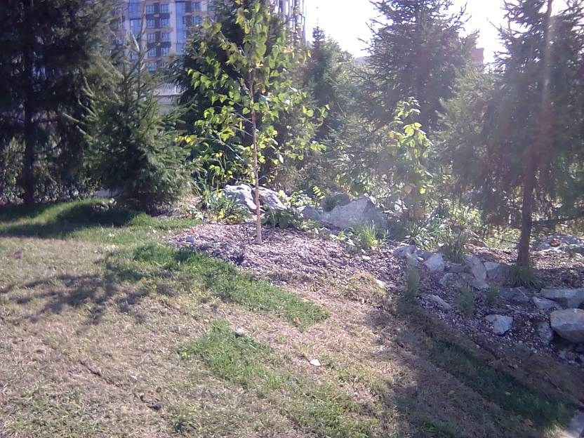 ВНИМАНИЕ! ФЕСТИВАЛЬ ЛАНДШАФТНОГО СТРОИТЕЛЬСТВА. 俄罗斯设计估算