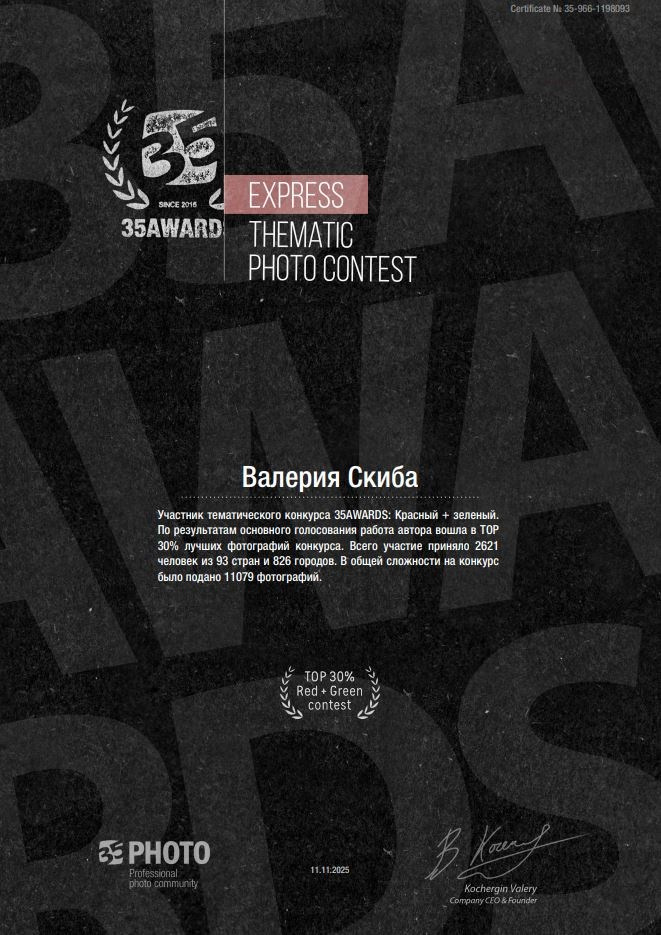 Конкурсы, выставки, достижения. Фотограф Валерия Скиба Москва, Краснодар, СПБ