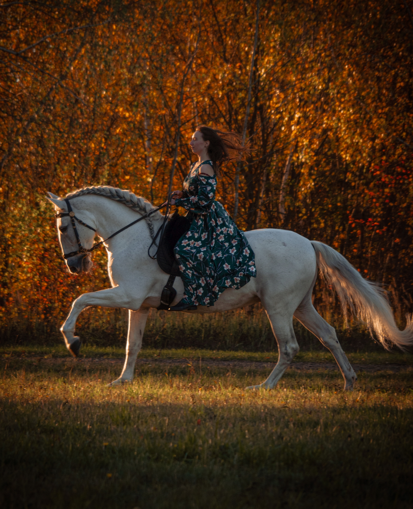Лошади. Свадебный и портретный фотограф Москва