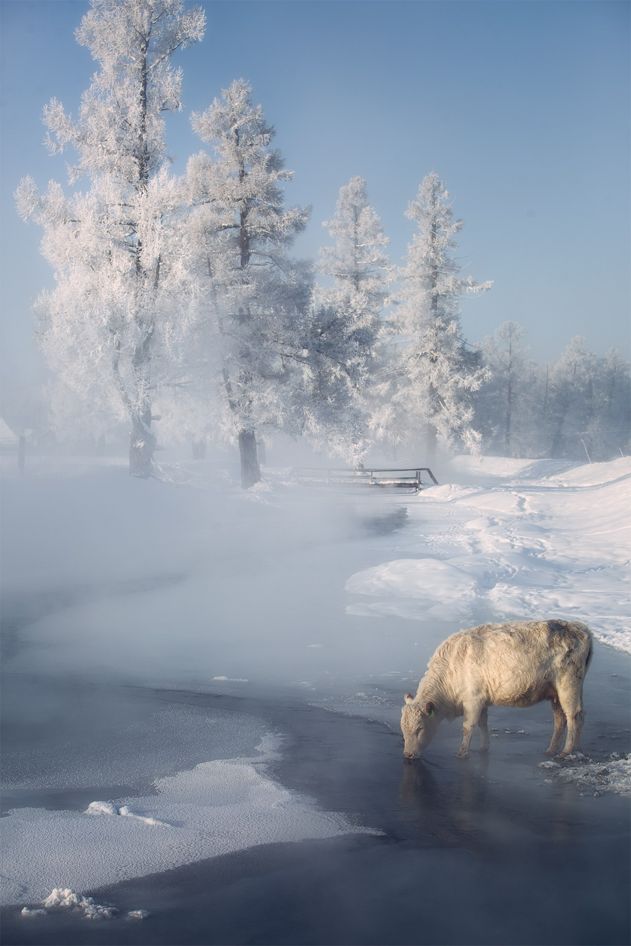 Пейзаж. Вадим Кононенко — outdoor creating
