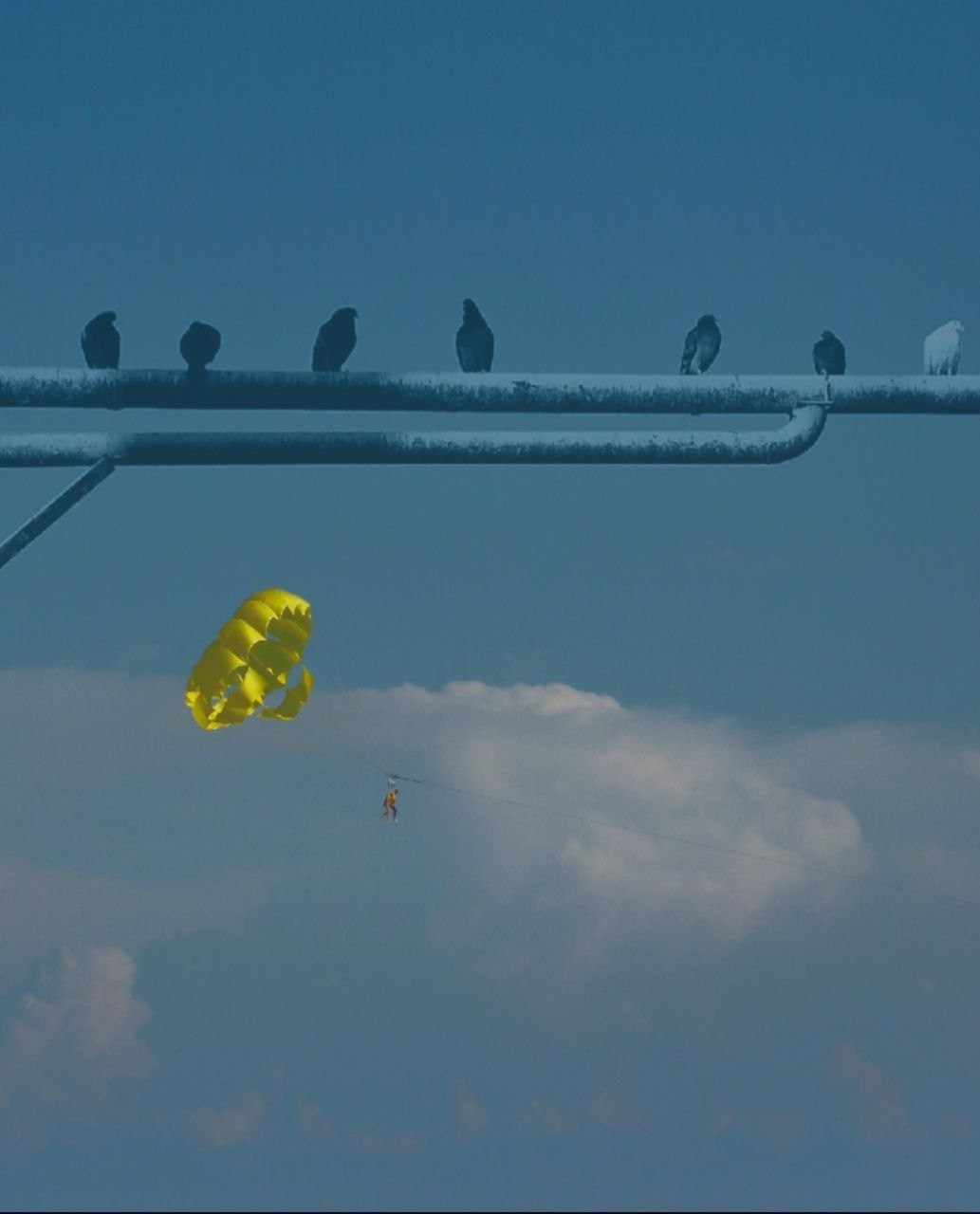 Фотолагерь. ARTDARY | Фотограф Дарья Грицай