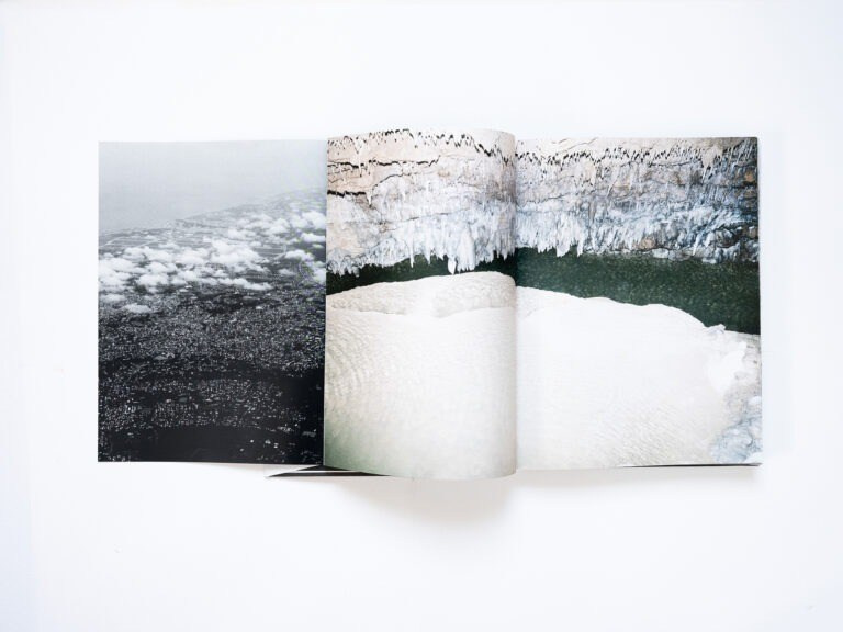 ИНТЕРВЬЮ С АВТОРАМИ: MOE SUZUKI. Самоорганизация Низина