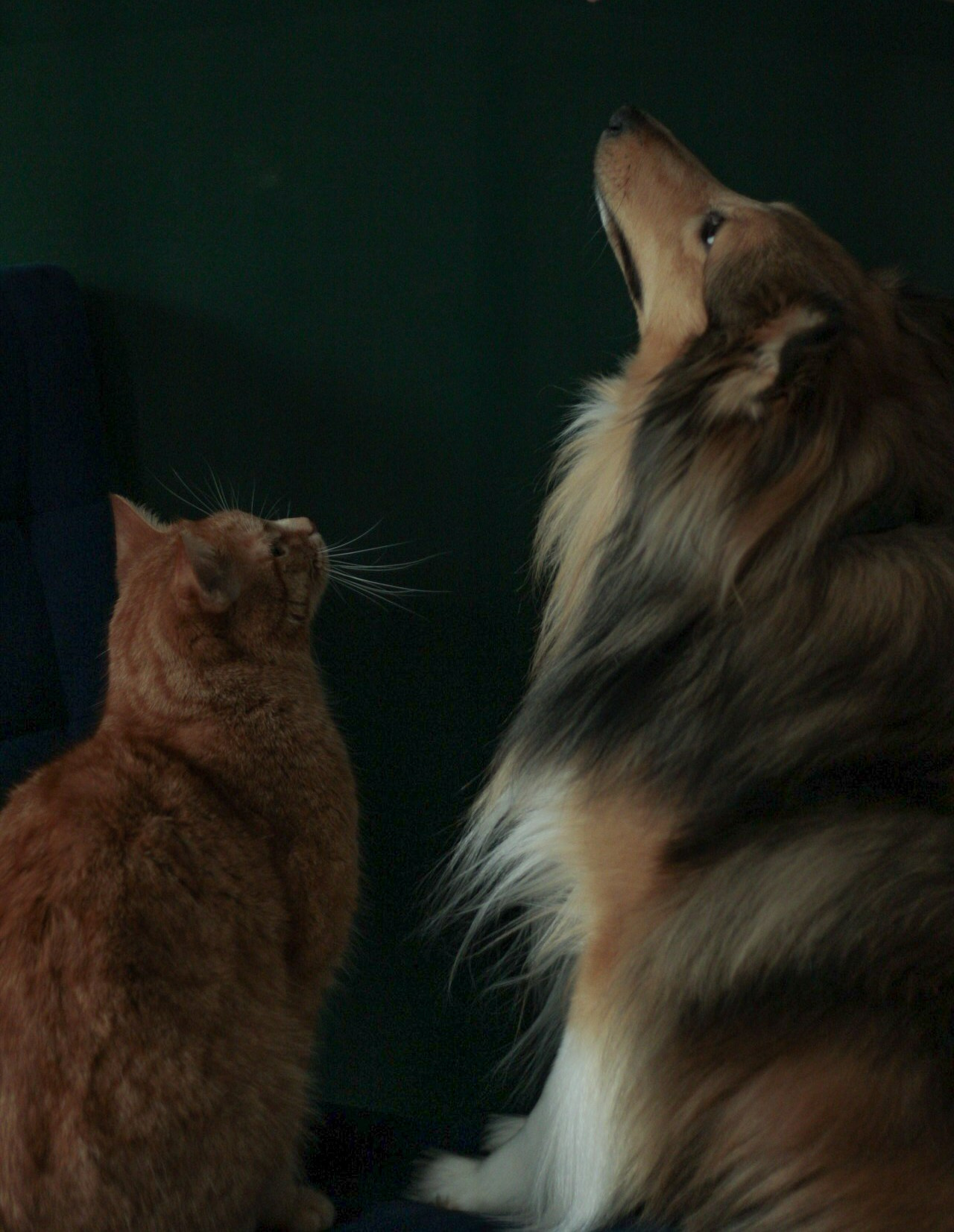 Катя Попова|ЛайфСтайл фотограф