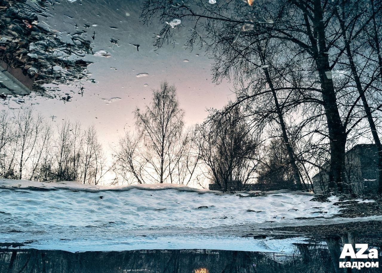 AZакадром Нижняя точка съемки. Женский семейный фотограф Тула Москва Захарова Анна