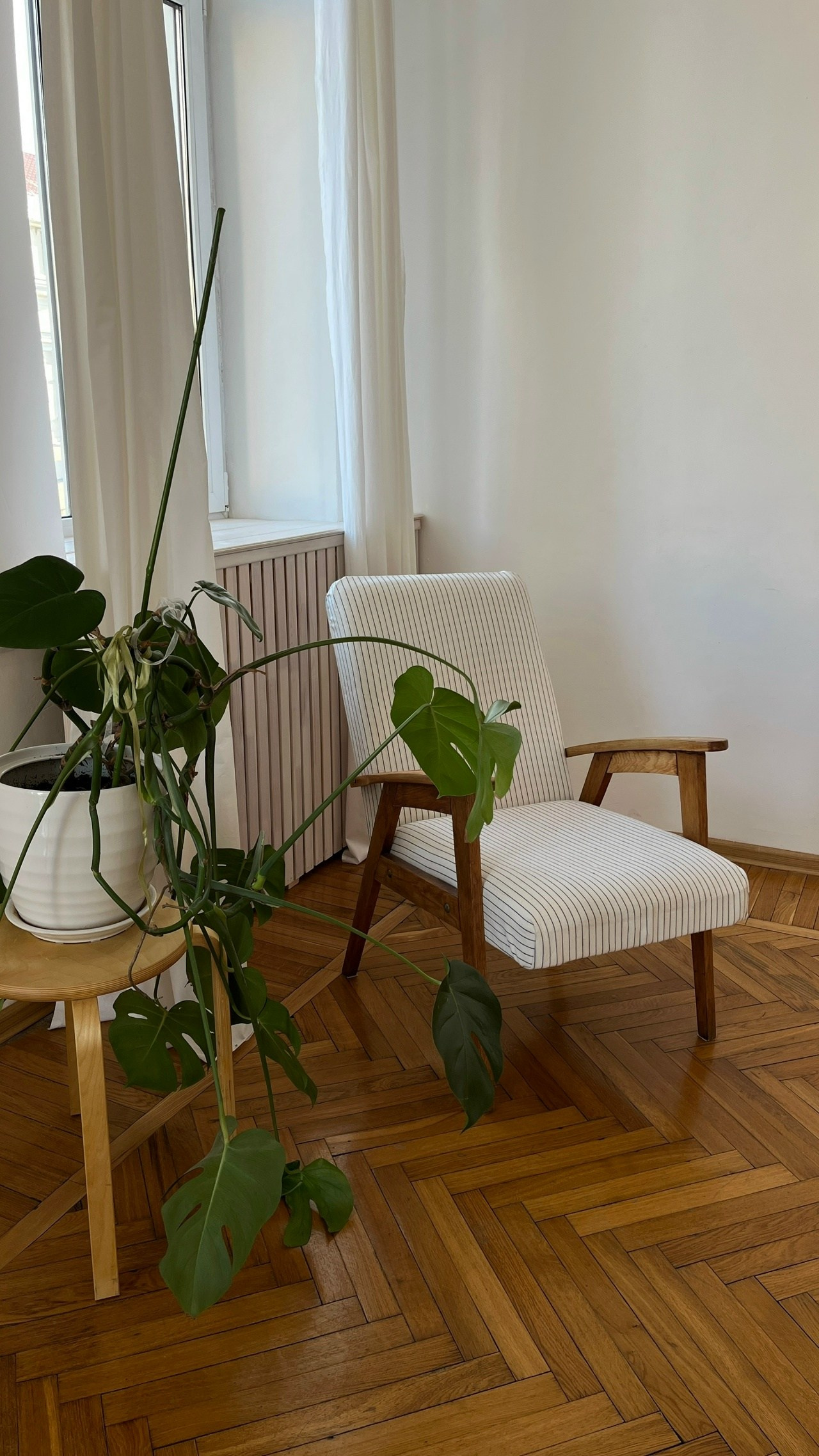 Интерьерные залы. Семейный и женский фотограф в Воронеже Ольга Попова