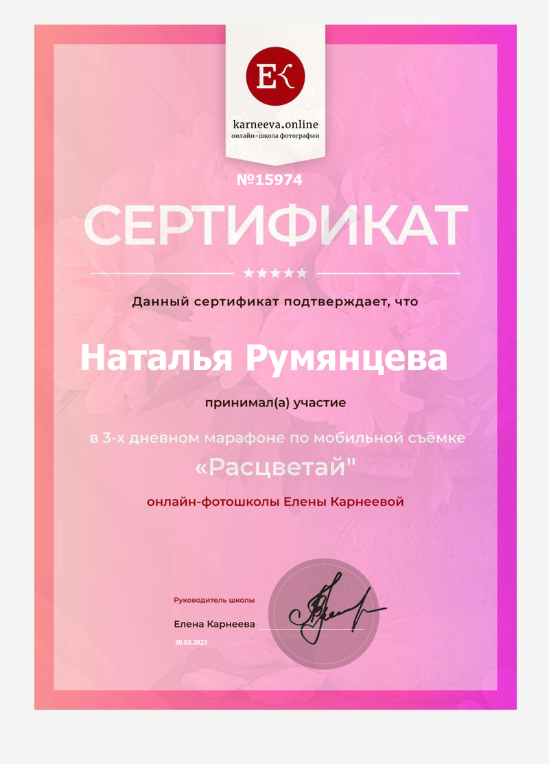 Сертификат по курсу фотографии