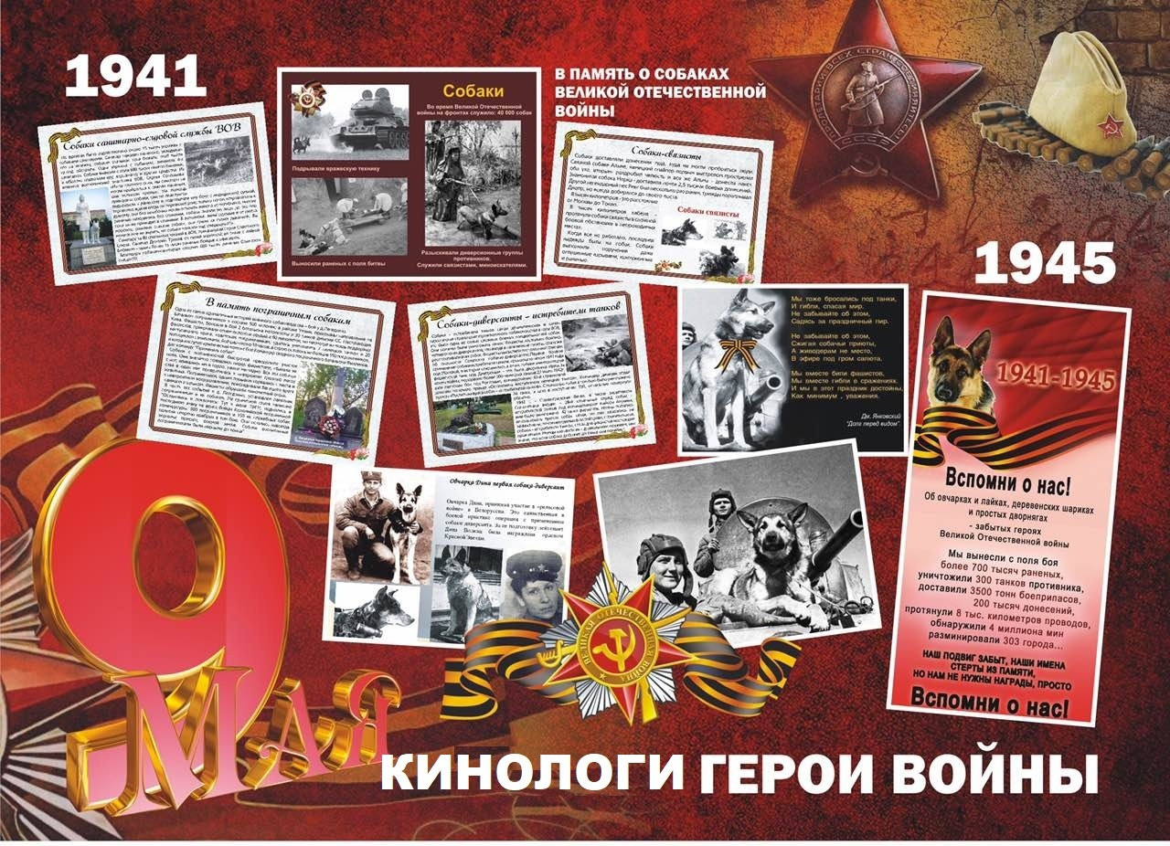 Мероприятие в память о Беренгове П.Г. НРОО КЦ "Собаковод"