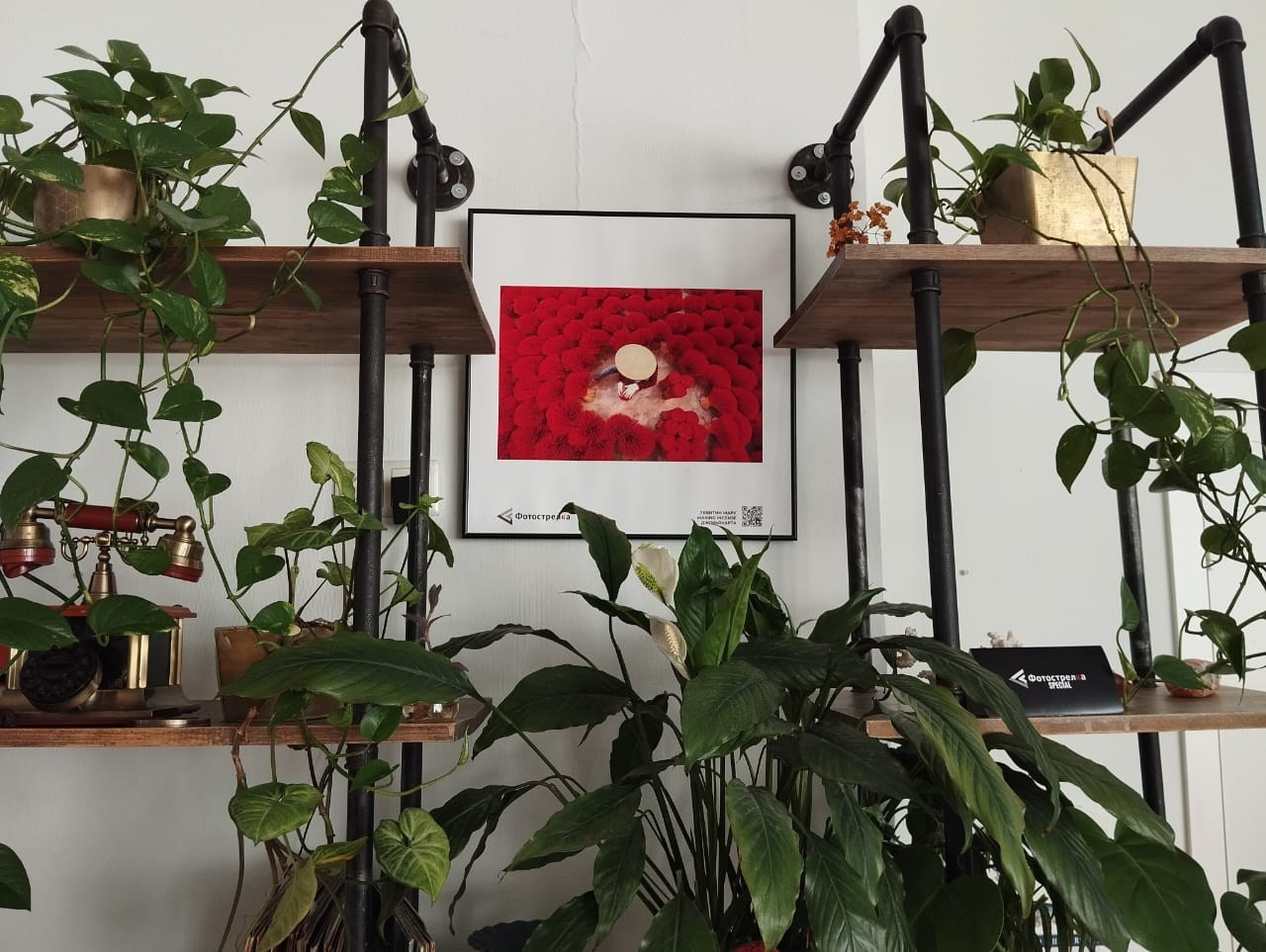 Красная в Новосибирске 8.08.25 — 26.10.25. Фотострелка