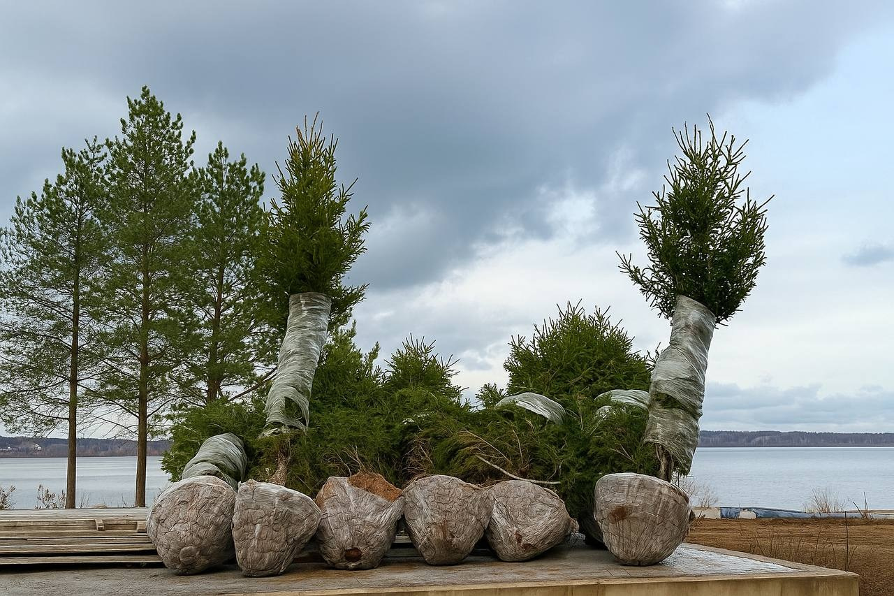 Крупномеры РФ