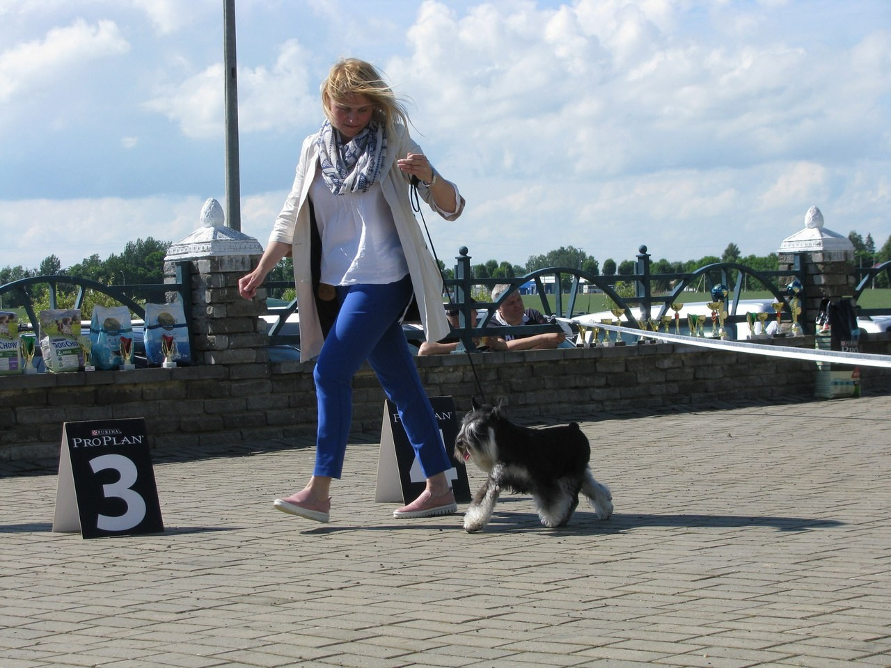 Питомник Делинсо Бэлэнс, щенки цвергшнауцера, купить щенка цвергшнауцера, питомник цвергшнауцеров, кобель цвергшнауцера для вязки, щенок цвергшнауцера, питомник цвергшнауцеров, черный с серебром, цверг, лучший питомник в беларуси, питомник цвергшнауцеров минск