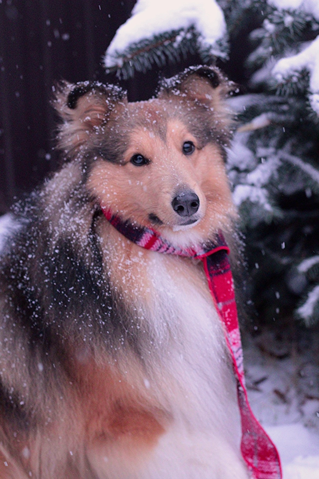 Катя Попова|ЛайфСтайл фотограф