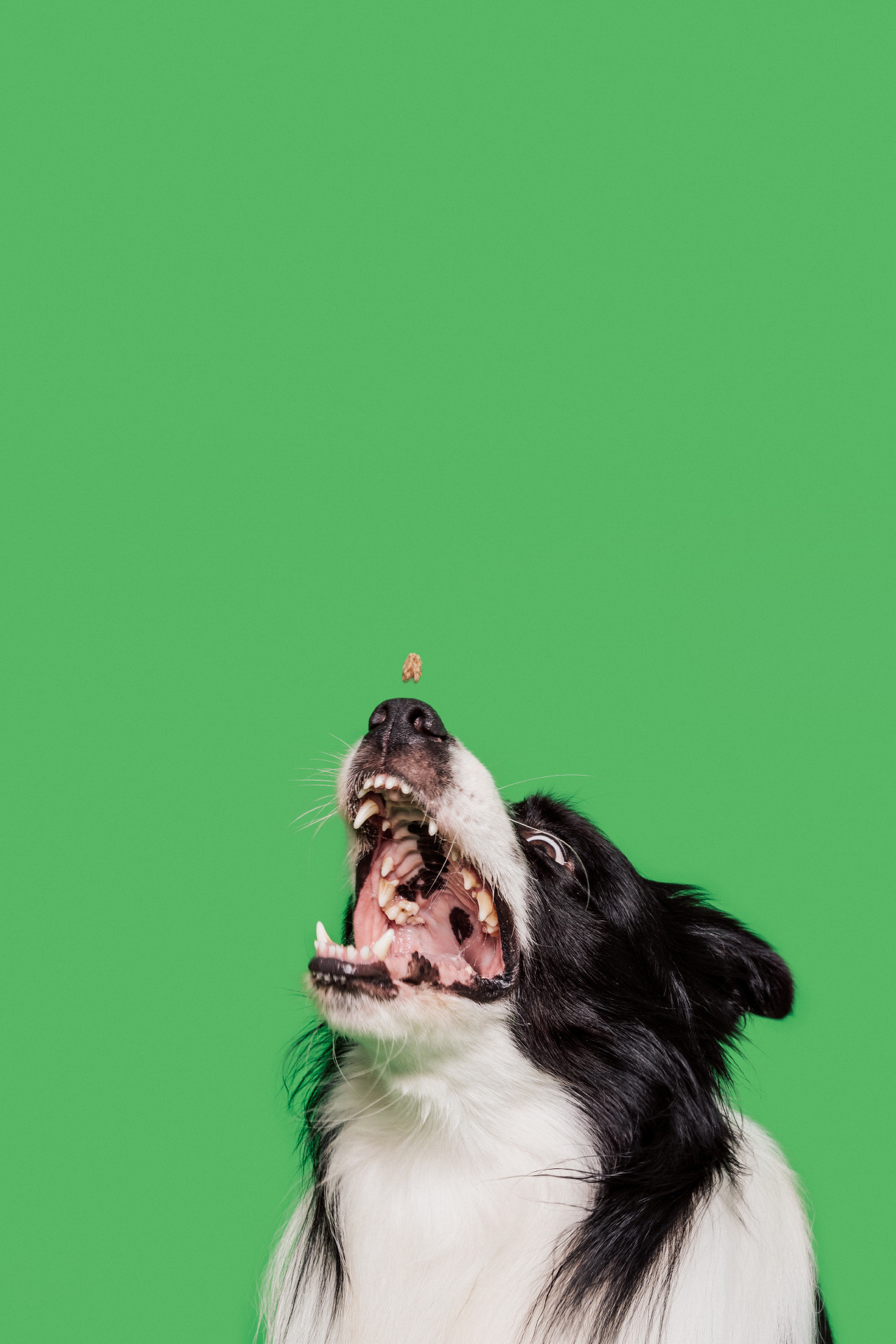 Клиент: HappyGree, Inc. Фотограф, организация: Андрей Бортников. Стиль: Алеся Адамович, Визаж: Анна Волчецкая
