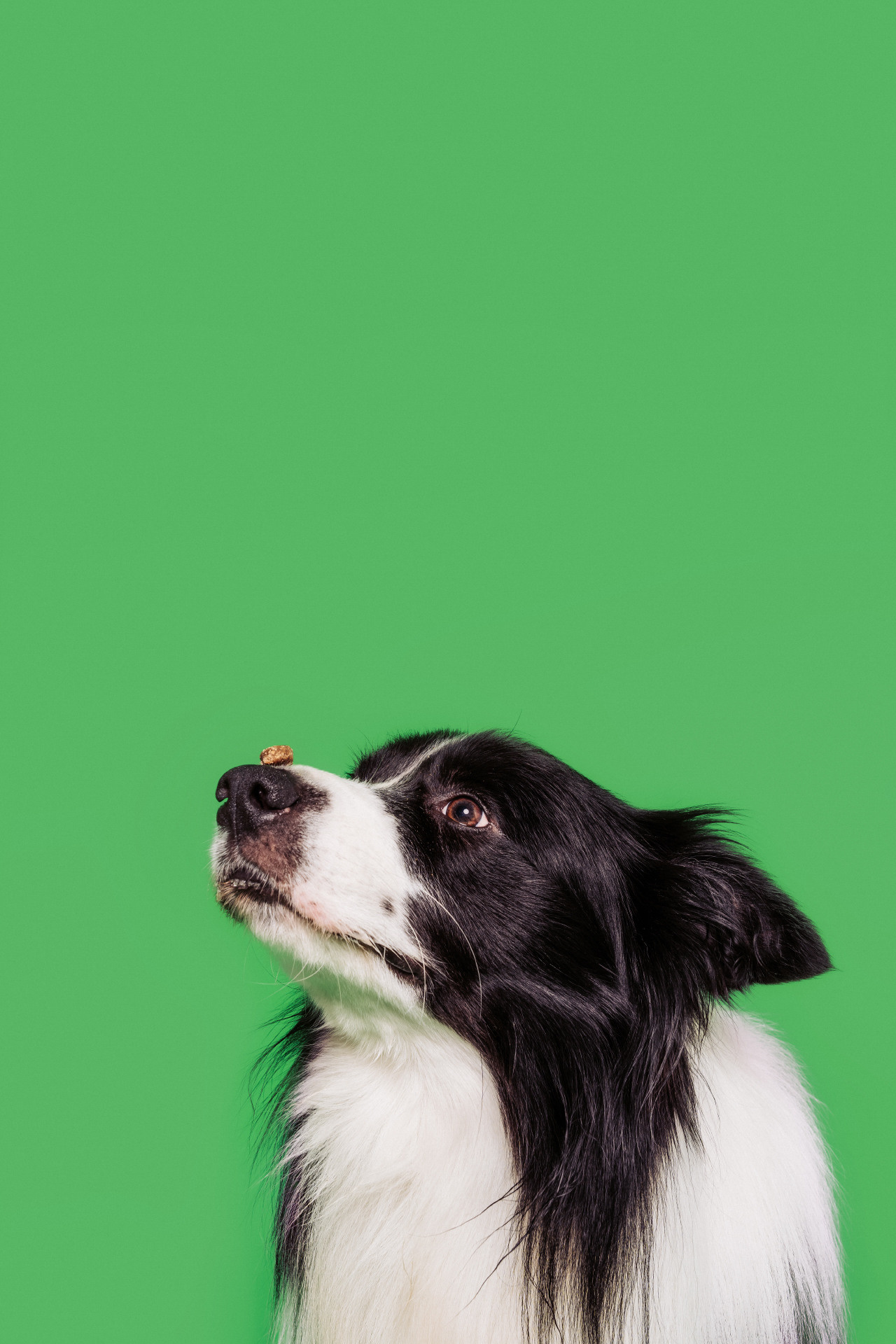 Клиент: HappyGree, Inc. Фотограф, организация: Андрей Бортников. Стиль: Алеся Адамович, Визаж: Анна Волчецкая