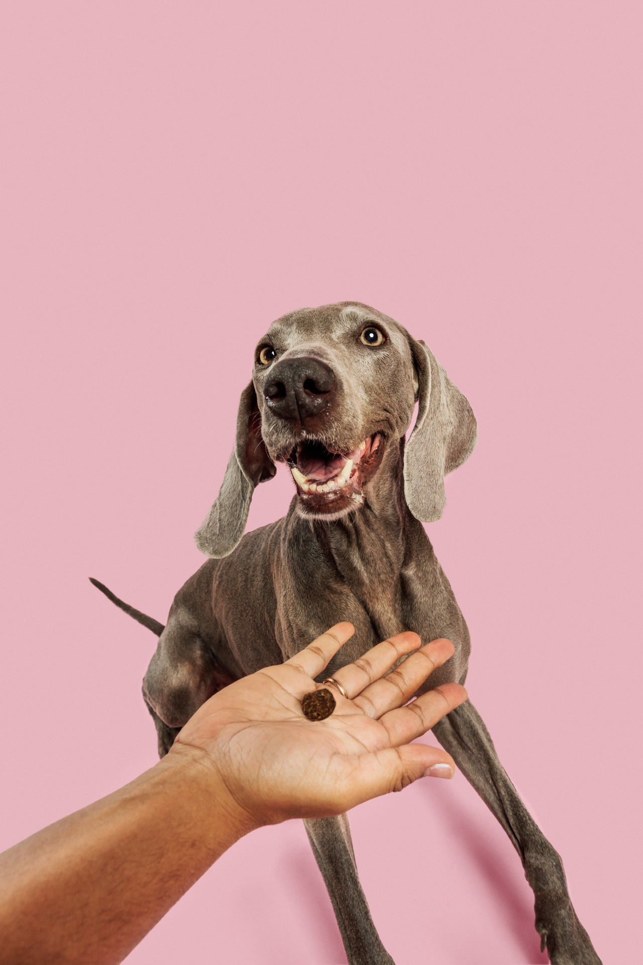 Клиент: HappyGree, Inc. Фотограф, организация: Андрей Бортников. Стиль: Алеся Адамович, Визаж: Анна Волчецкая