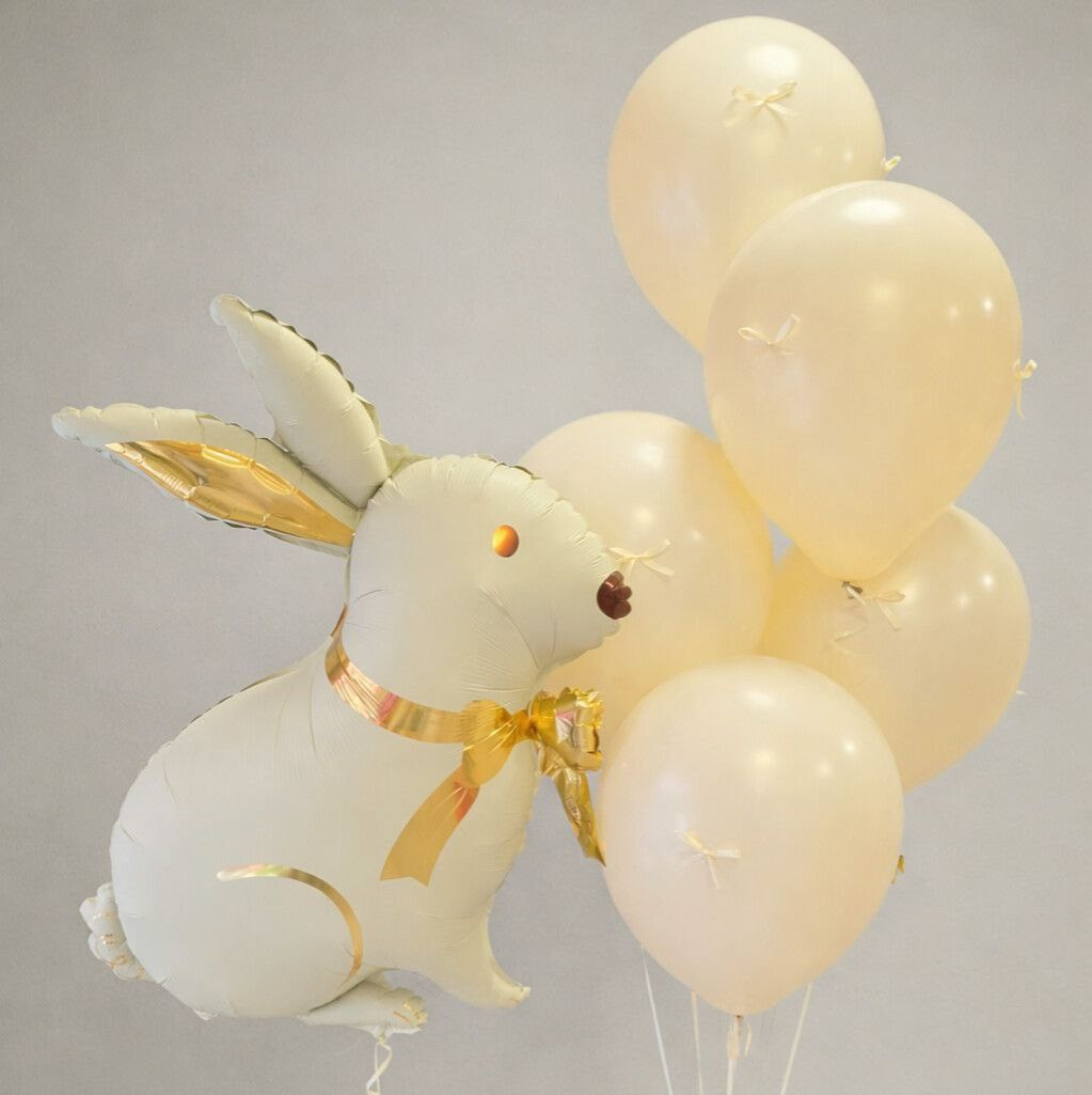 Dostava balona Novi Sad Dostava balona Beograd. Шары с гелием, фотозоны Нови Сад Белград. Balone i dekoracije od balona Novi Sad Beograd