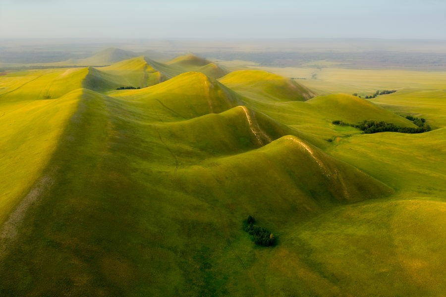 Чазов Александр Юрьевич. Галерея участников Российской Премии Искусств