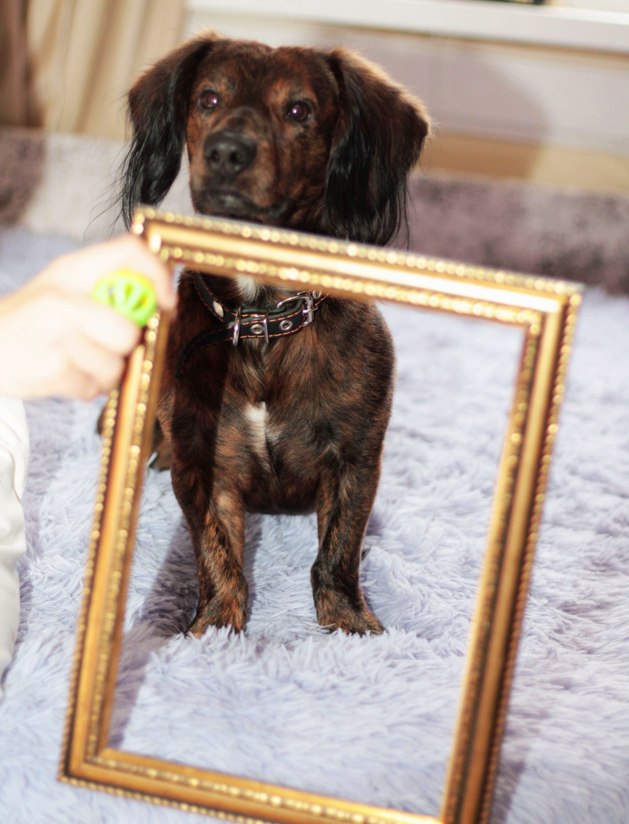 Катя Попова|ЛайфСтайл фотограф