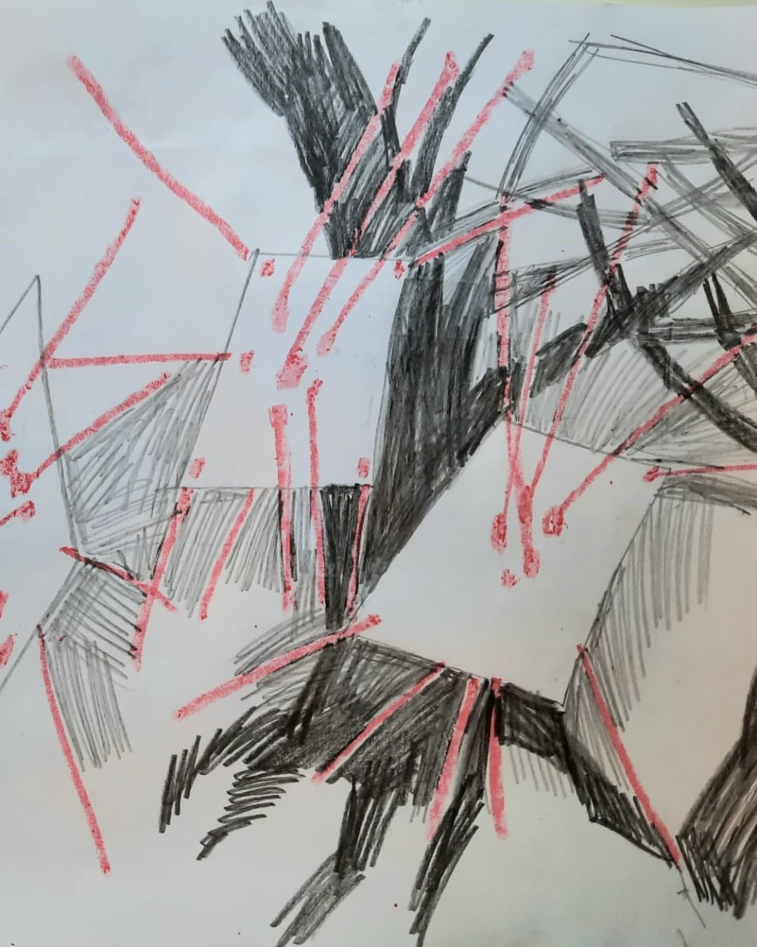 Красненькая биеннале. Санкт-Петербург. Лилия Ким. Междисциплинарный художник