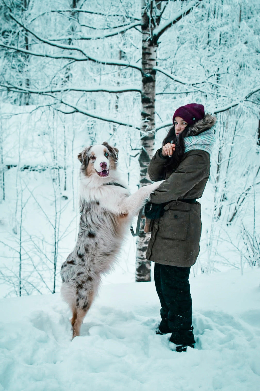 Новости в питомнике Westerly Wind. Питомник собак Westerly Wind Москва и МО