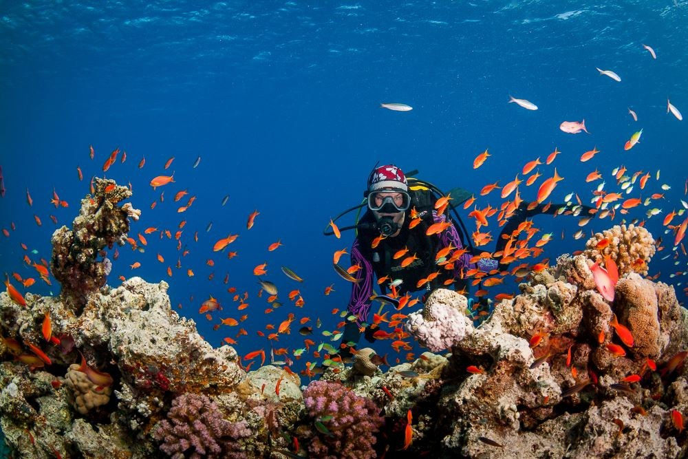 Дайвинг-туры. Дайвинг-клуб «Капитан Морган», Беларусь