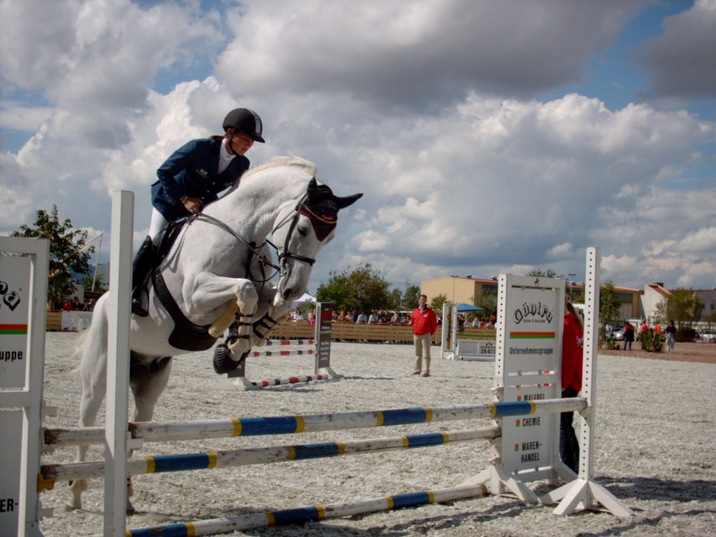 Founder. Liana Antanovich | Equestrian Strategies