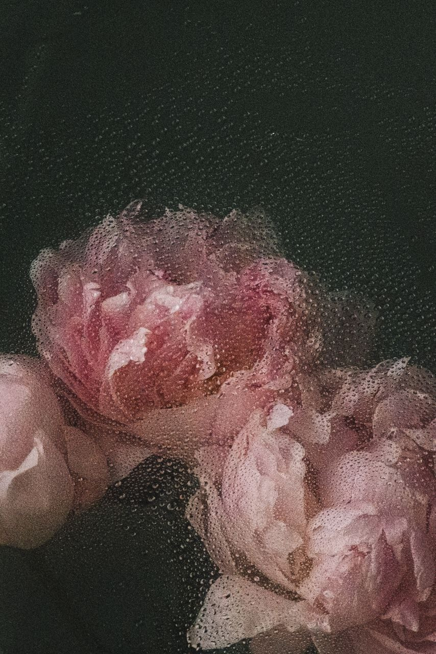 Фотодень «Spring» 01.03.2026. Семейный фотограф в Тюмени | Алёна Снопкова