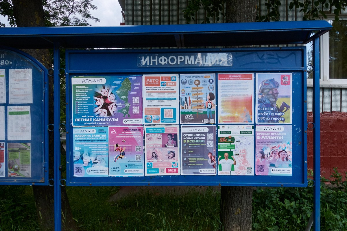 Сезон цветения полыни. Иван Кобяков