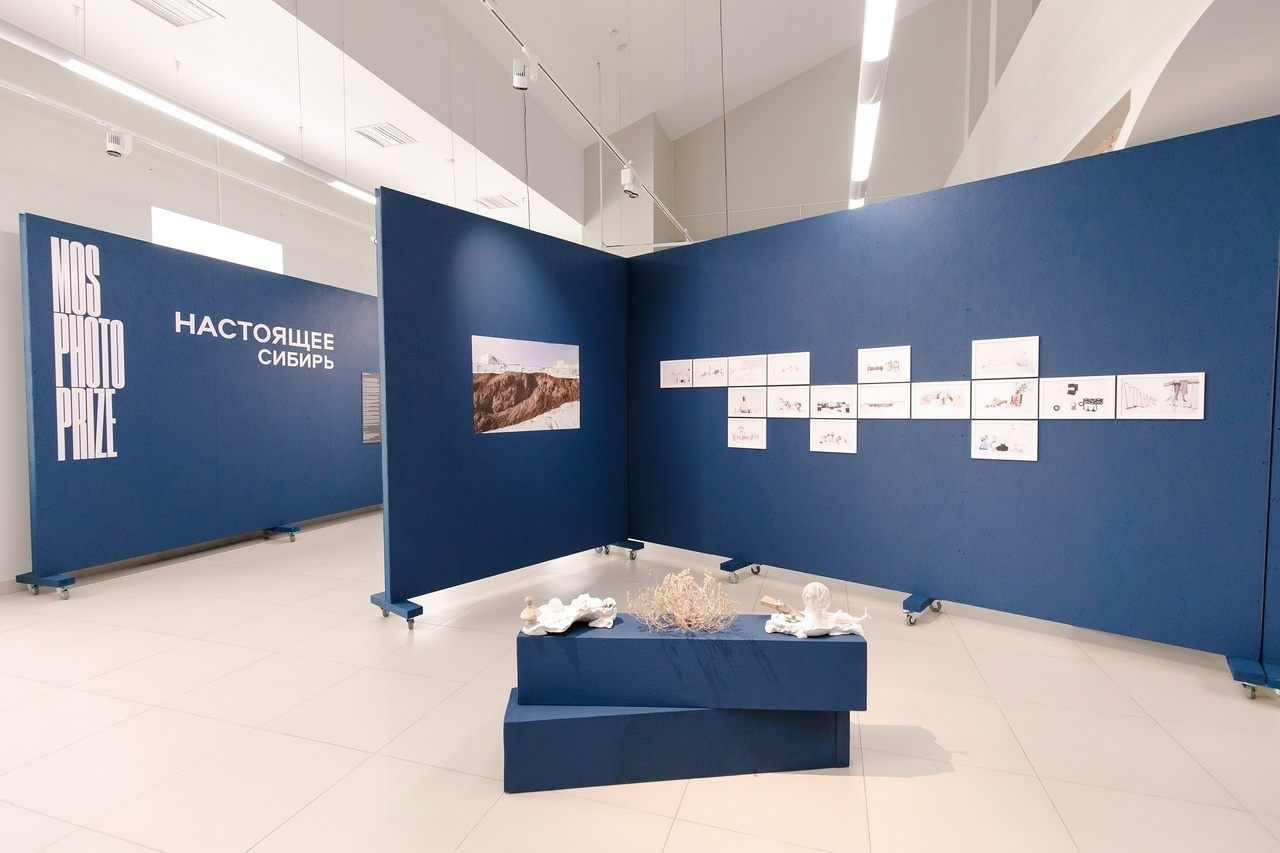 Curatorial and jury work for the Makers of Siberia Photo Prize exhibition in Om…. Elena Anosova is an award-winning visual artist