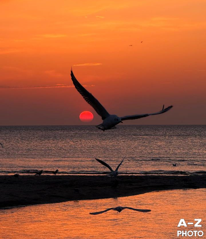 #ФОТОНЕДЕЛИ 30.03.2026. Женский семейный фотограф Тула Москва Захарова Анна