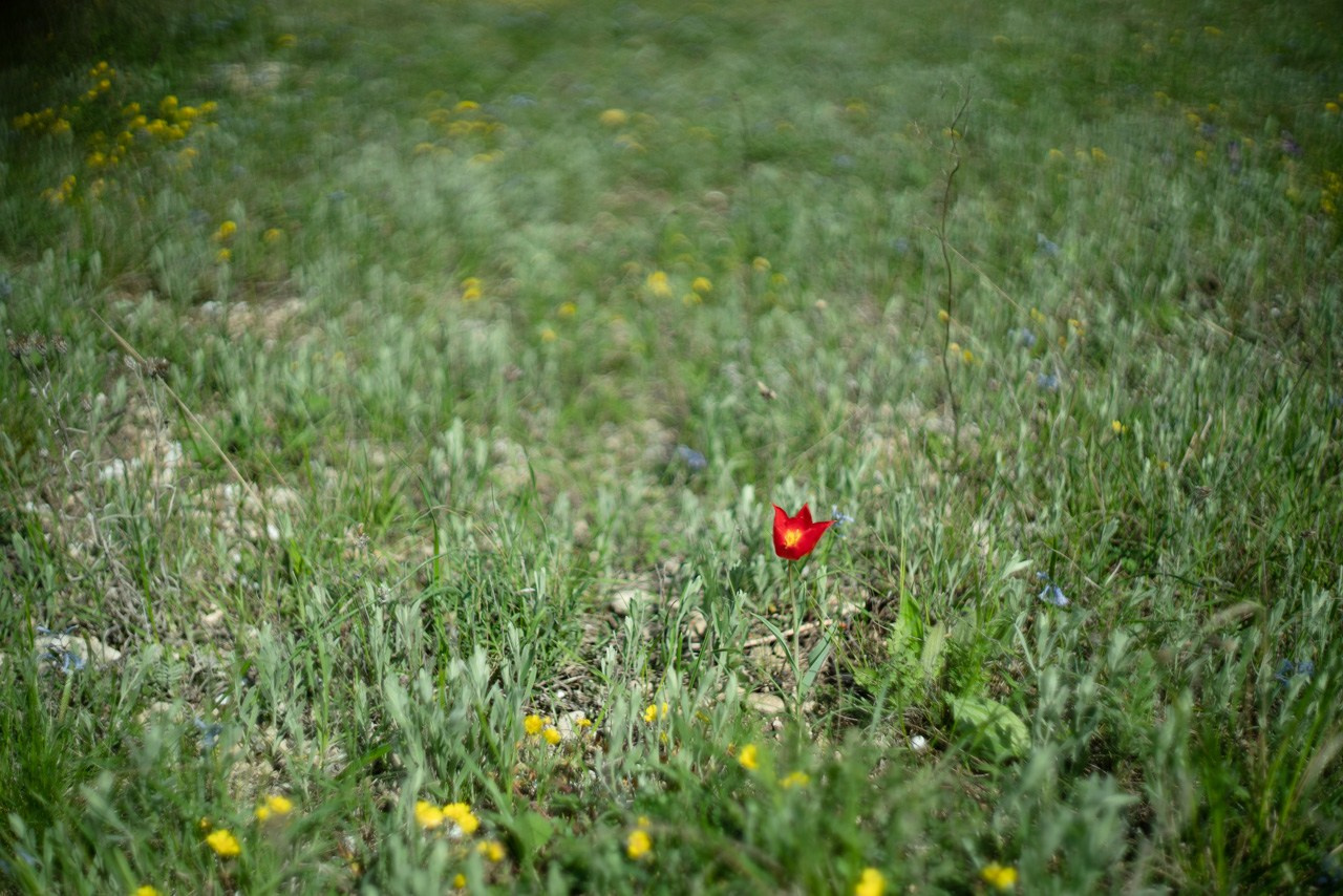 Детский Сад. Классический Выпускной Альбом