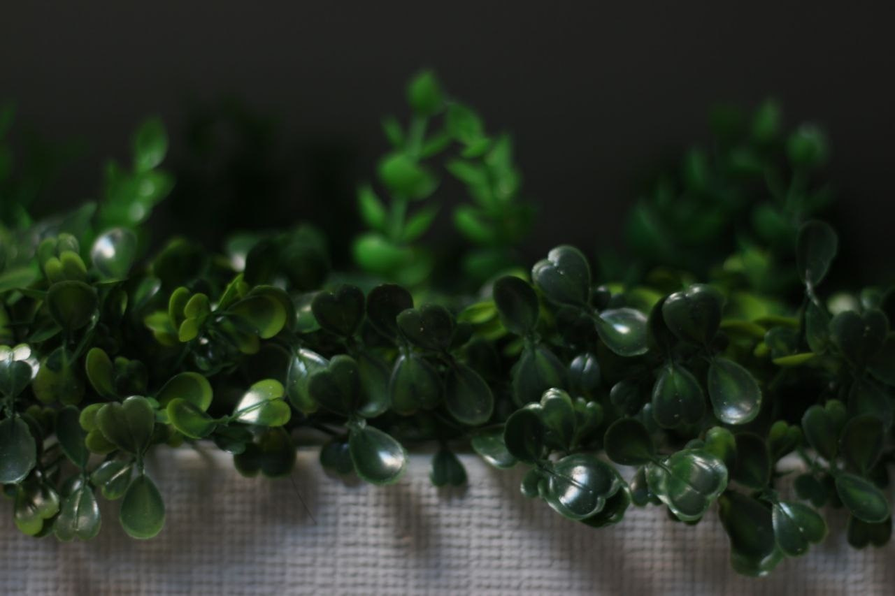 Центр Красоты Души и Тела «Амарант»