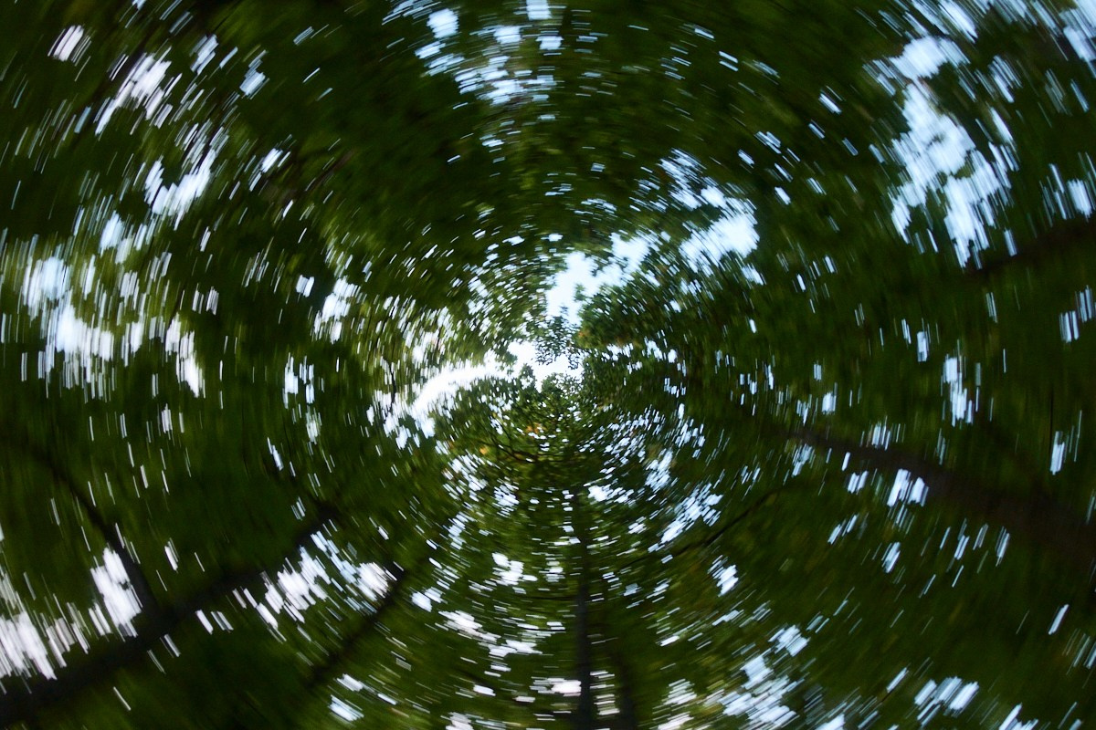 8-9/25. Иван Кобяков