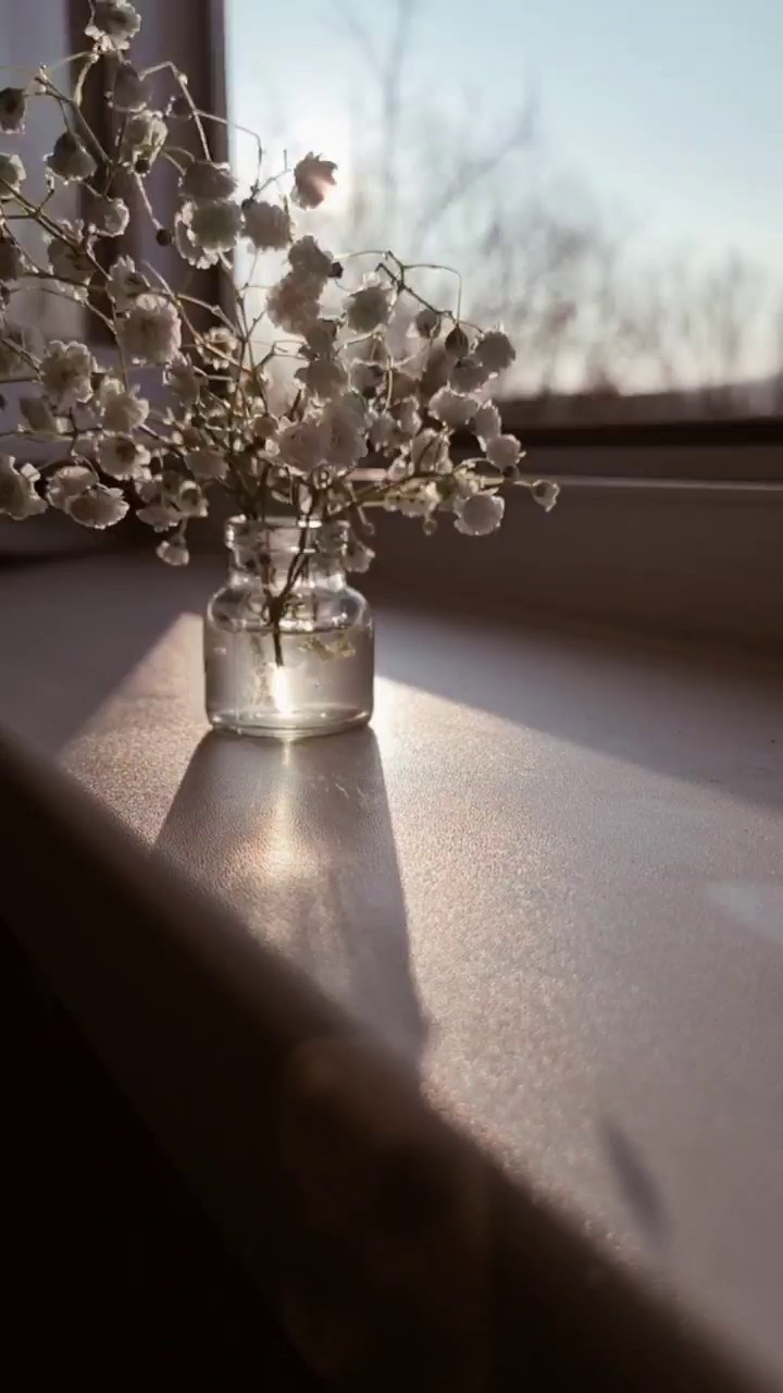 МОБИЛЬНАЯ ВИДЕОГРАФИЯ