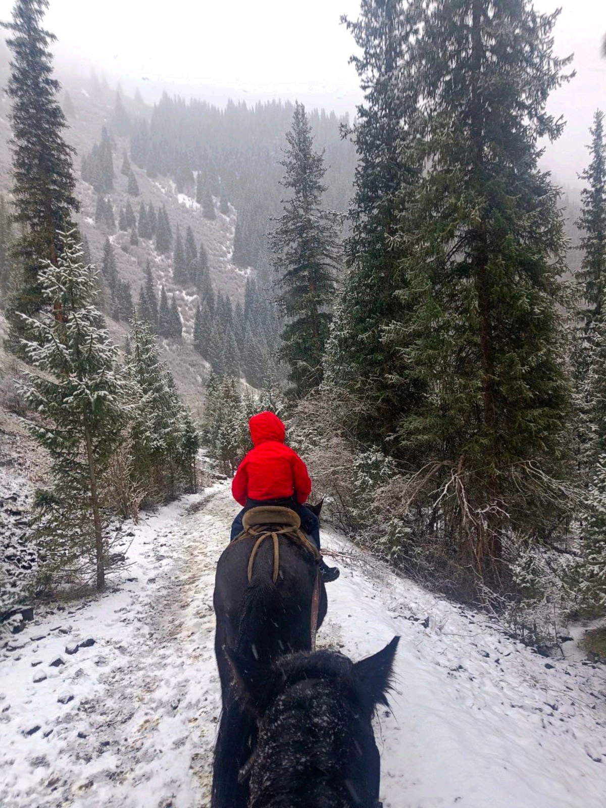 Melon Travel в Алматы: экскурсии и джип туры в Чарынский каньон, озера Каинды, Кольсай, Иссык, национальный парк Алтын Эмель