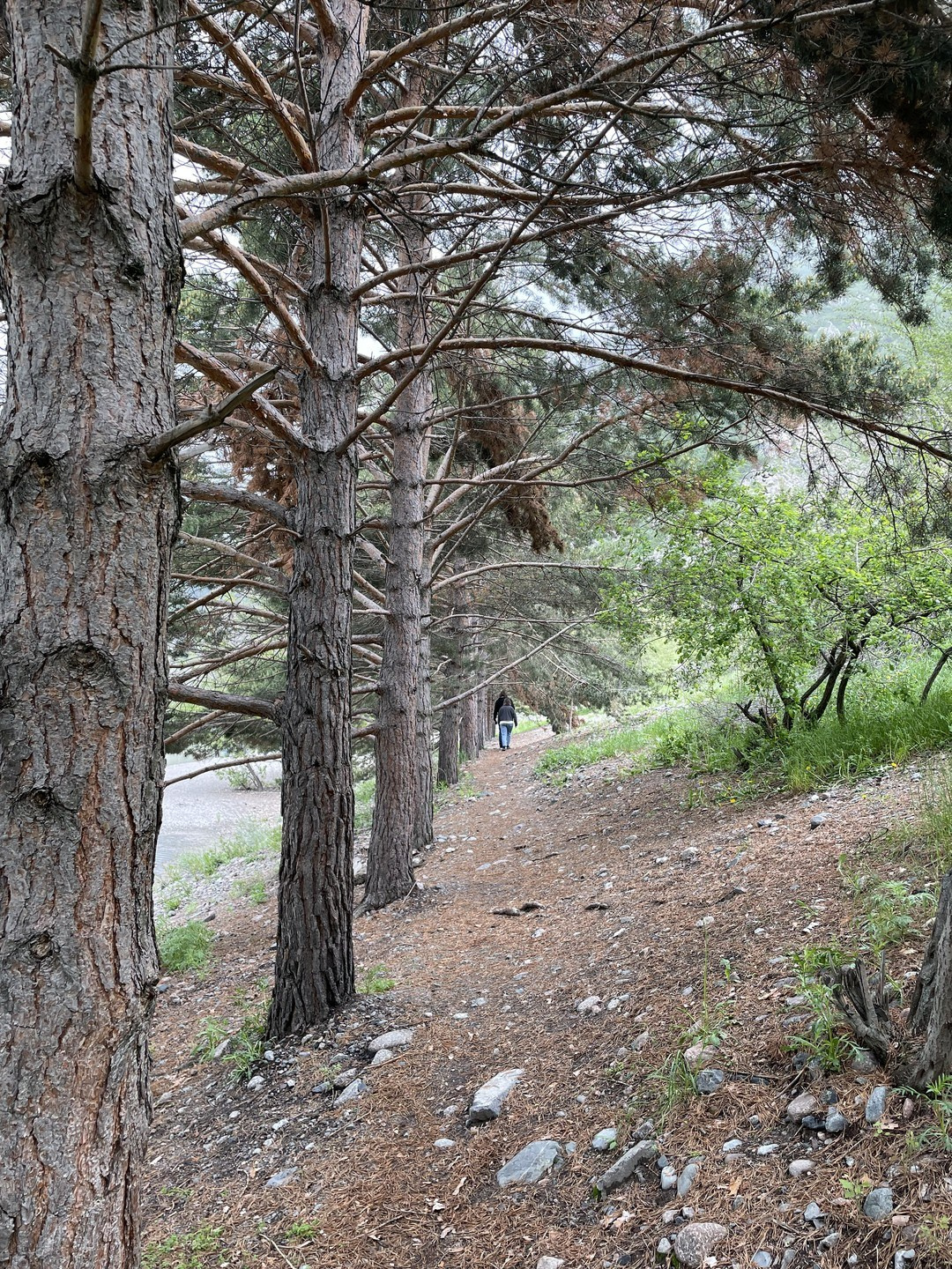 Экскурсия и тур на озеро Иссык и водопад Медвежий из Алматы