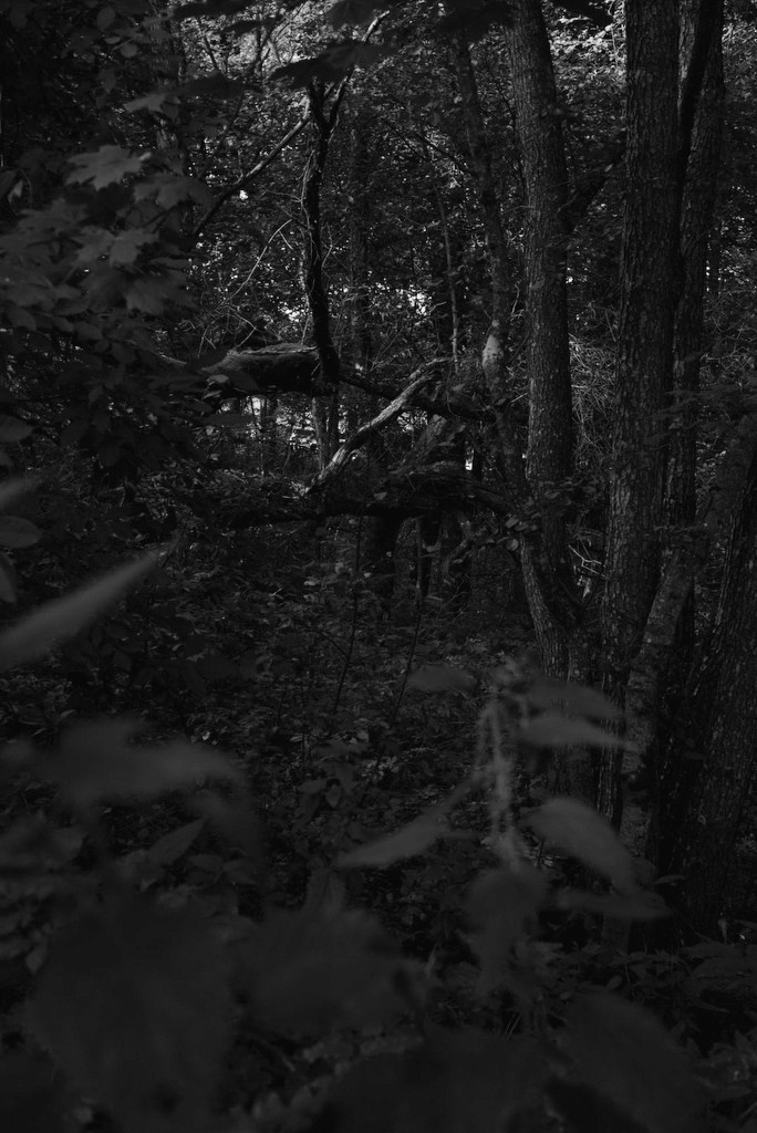 Непокорённая земля. Пылина Ирина — современная фотография