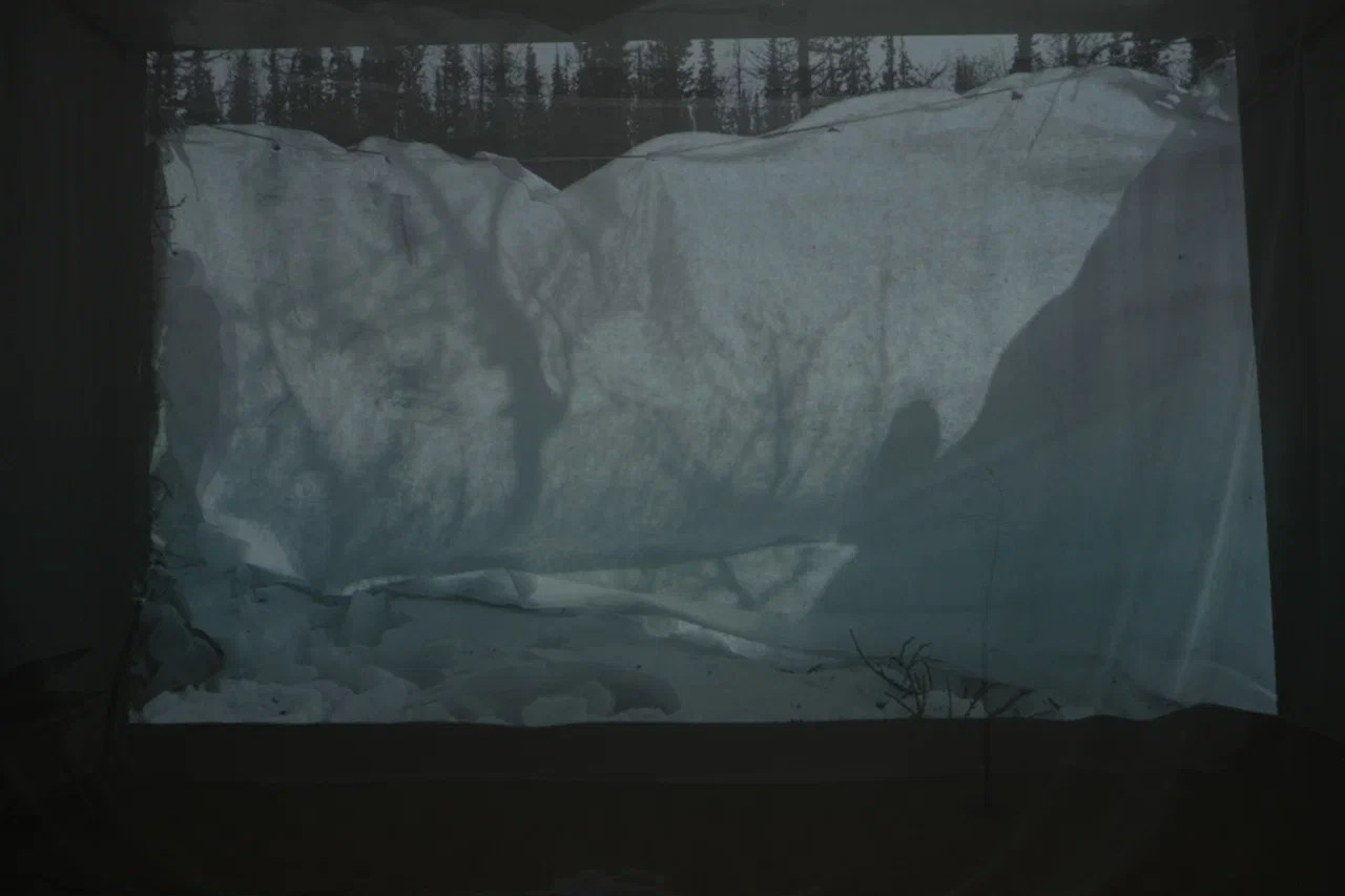 Паблик-арт проекты