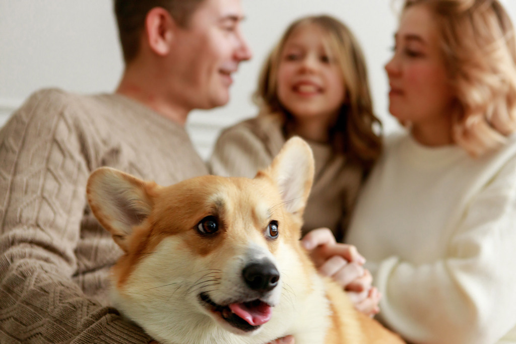 Семейный портрет с собакой. Фотокоуч Катерина Каледина