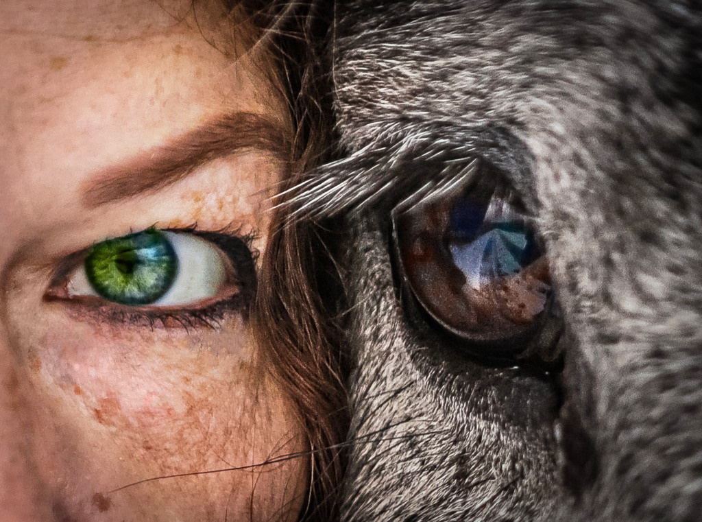 Коротко о главном