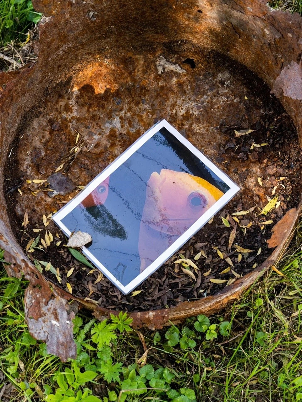 Участие в выставке-перфомансе «Русское бессознательное», Калужская область. Фотограф Наталия Шляпина в Ростове-на-Дону