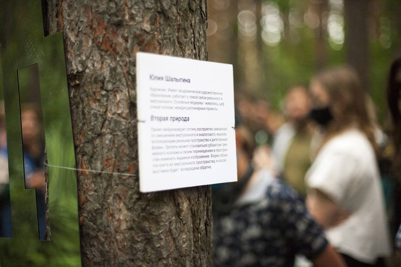 PubLab-2. Broken wood. Shalygina Yulia