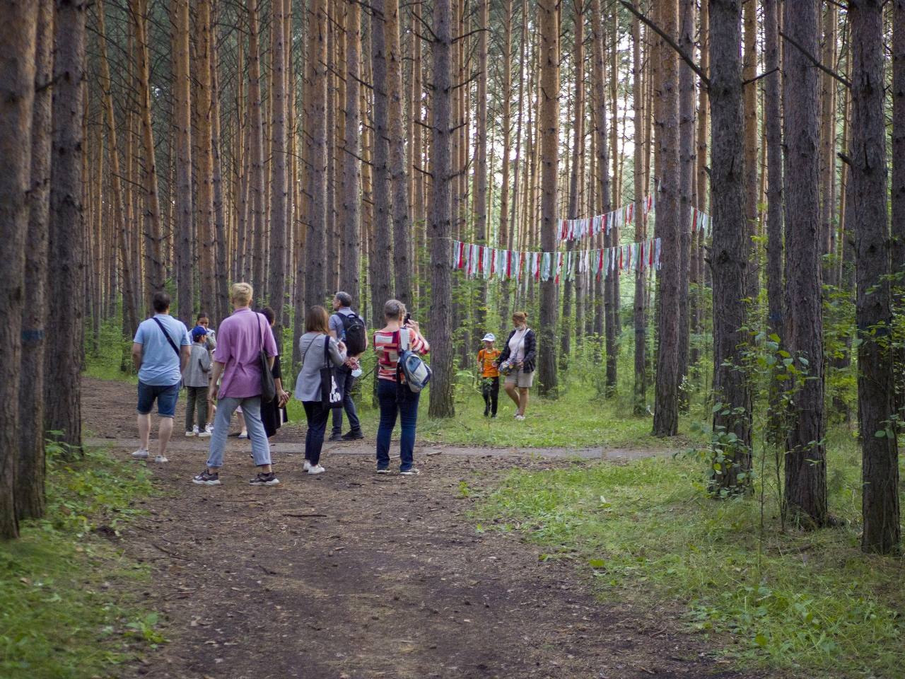 PubLab-2. Broken wood. Shalygina Yulia