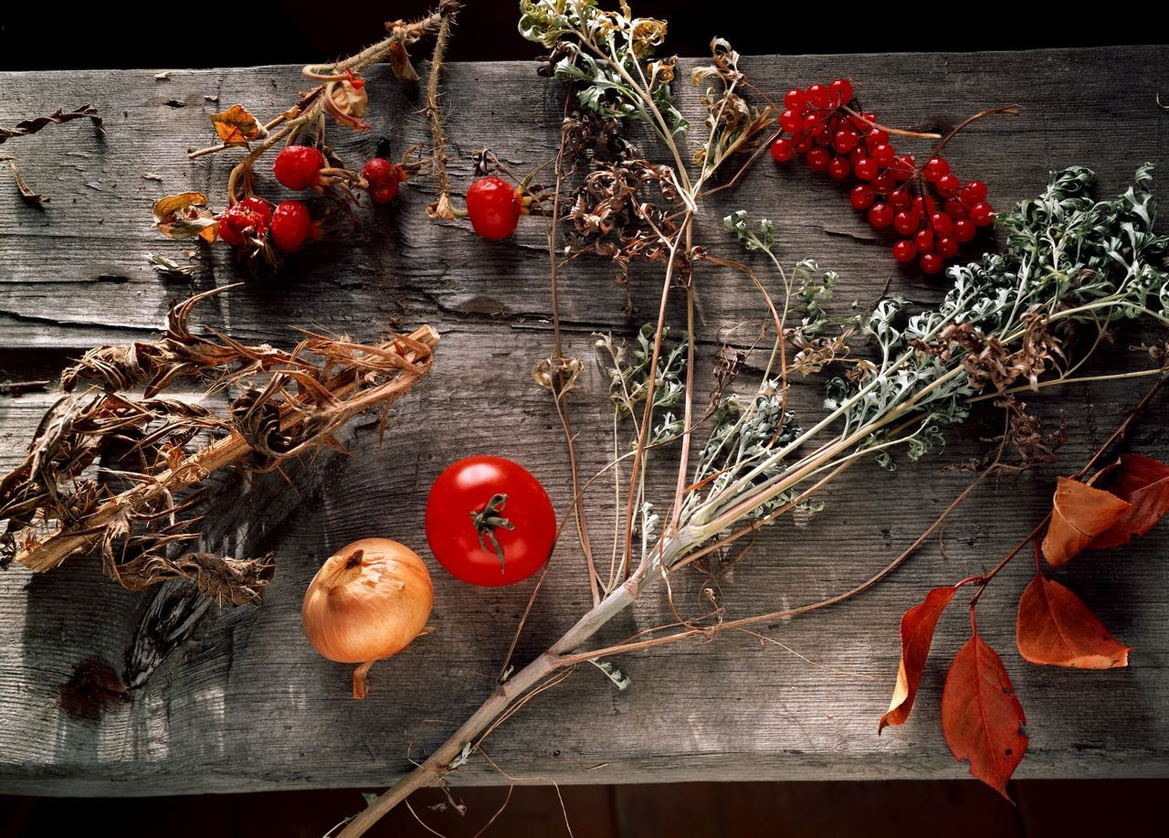 Натюрморт. ВАДИМ ГИППЕНРЕЙТЕР — ВЕЛИКИЙ ФОТОГРАФ ЗЕМЛИ РУССКОЙ